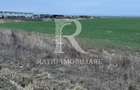 Teren de inchiriat | 20,088 ha | Sacadat | Bihor