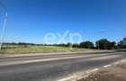 Teren intravilan premium 15.000 mp la DN61 langa Centura G - 4