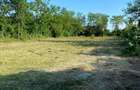 Proprietar vand teren intravilan - 3