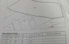 Casa de caramida 120 mp cu teren intravilan 32 arii de vanzare construc?ie 1960 cu actele la zi! - 1