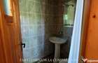 BUDESTI - CASA LA 15 MINUTE DE ORAS TEREN 1233 MP - Budesti (Diculesti) (Valcea)