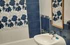 Apartament 2 Camere Victoriei Nicolae Titulescu - 4