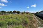 55.000 euro NEGOCIABIL 1.000 mp, teren intravilan, Sat Costi - 1