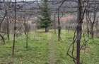 ROPRIETATE EXCLUSIVĂ DE VÂNZARE  – ZONĂ CENTRALĂ CUGIR