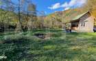 Teren extravilan de 1000mp, cabana, acces direct la parau, zona Lacul