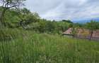 Domeniu Premium 1.7 Ha Intravilan Zarne?ti | Liziera Padure - 11