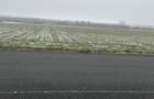 Vand teren agricol cu suprafata de 260000 mp - 1