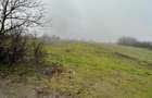 Teren intravilan + extravilan 16150euro - 4