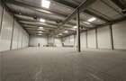 Spatiu Industrial - 3300 mp - Logistica - Productie - Depozitare - Distributie - 11