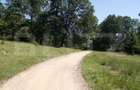 Exclusivitate! Teren Intravilan - 3339 mp - Poiana Brasov Investit - 2