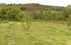 Vand casa mare+65 arii teren intravilan
