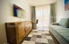 Apartament cu o camera, 40 mp, mobilat modern, zona strazii Porii - 9