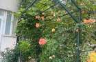 Vitan Mall, Apartament 4 camere - 10