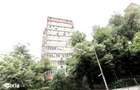 TEIUL DOAMNEI, BLOC 1984, DECOMANDAT, RENOVAT, NEMOBILAT, 0% COMISION! - 4