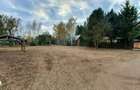 Vila pe malul lacului, 6 camere, Snagov - 9