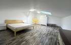 2 camere, modern, Pet Friendly, Gheorgheni, Iulius Mall, FSEGA,Panemar - 5