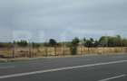 Teren intravilan, 4500 mp, Investitie - 1