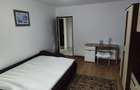 Apartament cu o camera de inchiriat in zona Nufarul - 4