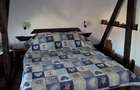 Apartament in vila zona Domenii - 8