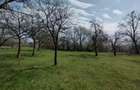 Teren de 6800 mp, în Șișești - 5