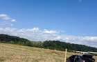 Lot teren intravilan Ciolpani - padurea Snagov - 2