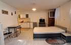 Apartament 1 camera str Clinicilor
