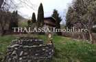 Proprietate de vacanta Valea Oltului - BREZOI - 7