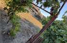 Casa de vanzare in Curtici judetul Arad - 11