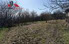 Casa si anexe cu un teren de 7701 mp de vanzare in Stauini Jud Alba