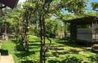 Casa de vanzare, com. Corbii Mari, Satu Nou, jud. Dambovita - 7