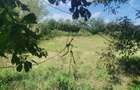 Casă cu Teren 2300 Mp în Doba