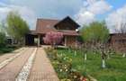 Casa de Vanzare,suprafata 1300m2,casa+teren - 8