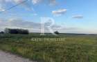 Teren extravilan | Pau?a | Bihor - 3
