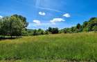 Teren Mixt 7.516 mp in Nicolae Balcescu Intravilan extensibil ?i deschidere spre dealuri - 3