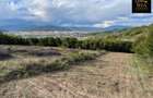 Teren 3000 mp de vanzare Budesti Racovita Valcea, panorama spectaculoa - 5