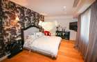 Gradina Icoanei  - Penthouse tip duplex - - 10