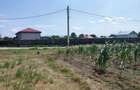 Teren intravilan Schineni Bacau - 5