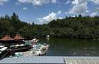 Teren 3.100 mp de vanzare 150 m de Lacul Ursu Str. Bradului, Sovata - 2