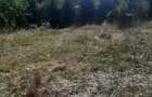 Vand teren intravilan - 3