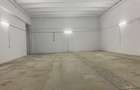 Spatiu SAD, Hala, depozit, Calea Aradului 246 - 486 mp - 4