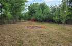 Teren intravilan in Banesti--2093mp--59.000e - 12