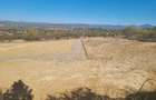 Teren 1300mp Strada Faget Sighet Intravilan!