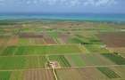 Teren Agricol Ialomita - 1