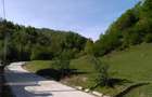 Teren Valea Aleului(pensiune, casa vacanta) 5500 mp - 2