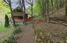 Casa de vacan?a la padure | Teren 891 mp | Valea Ighielului - 6