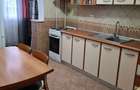 Apartament cu o camera in Podu de Fier - 2