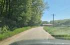 Vand 3600 mp padure, in Bascov, zona Uiasca - 4