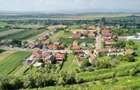Teren Construcții intravilan de 1777 mp, în Stupini - 15