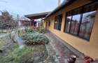 Vand casa Sannicolau Mare - 4