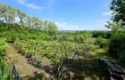 Teren intravilan 4,516mp Doina - Doina (Neamt) - 16